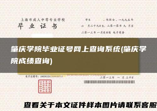 肇慶學院畢業證號網上查詢系統(肇慶學院成績查詢)
