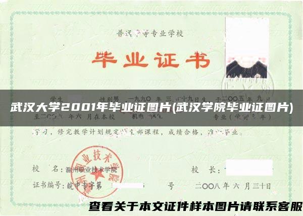 武漢大學2001年畢業證圖片(武漢學院畢業證圖片)