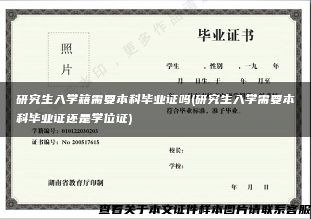 研究生入學籍需要本科畢業證嗎(研究生入學需要本科畢業證還是學位證)