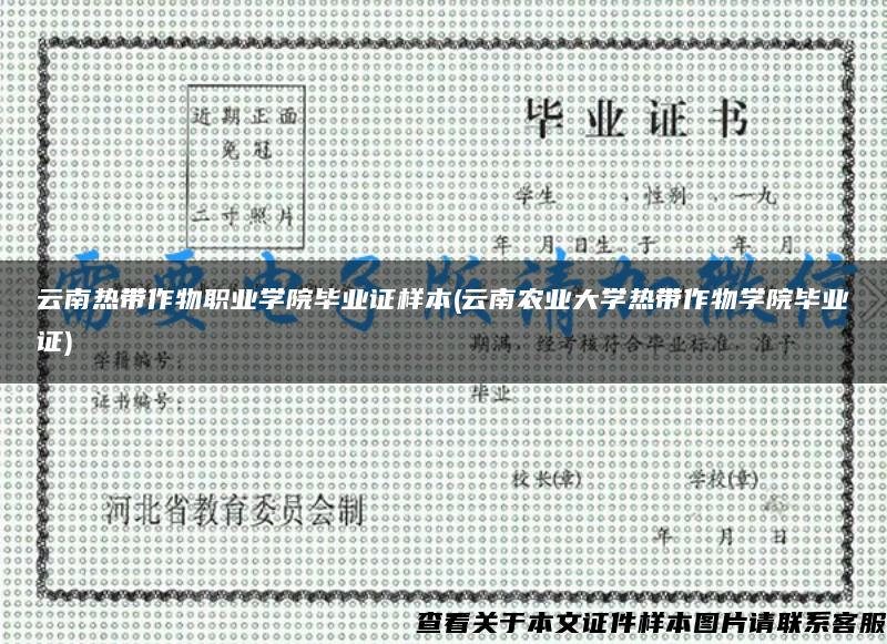 云南熱帶作物職業學院畢業證樣本(云南農業大學熱帶作物學院畢業證)