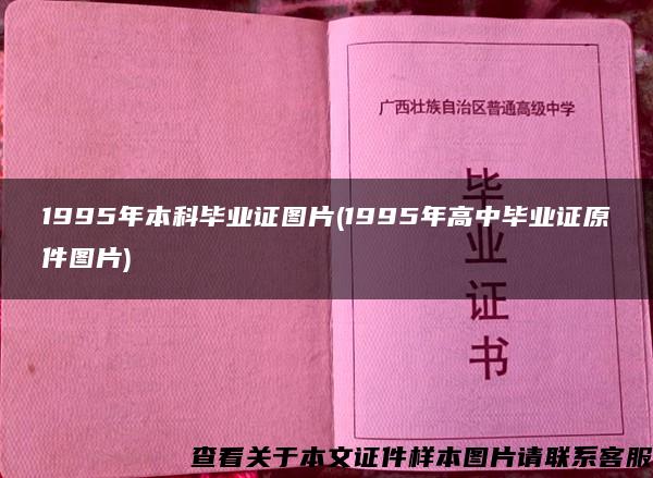 1995年本科畢業證圖片(1995年高中畢業證原件圖片)