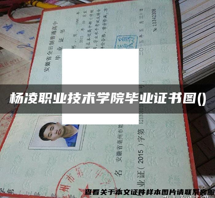 楊凌職業技術學院畢業證書圖()