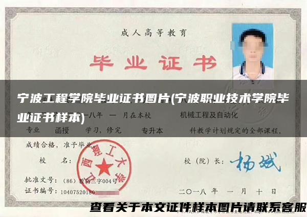 寧波工程學院畢業證書圖片(寧波職業技術學院畢業證書樣本)