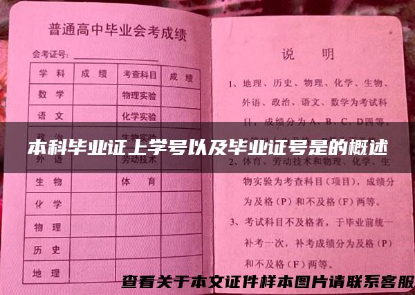 本科畢業證上學號以及畢業證號是的概述