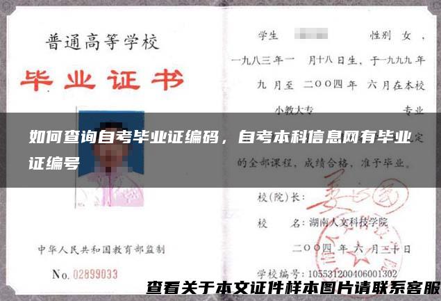 如何查詢自考畢業證編碼，自考本科信息網有畢業證編號