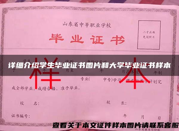 詳細介紹學生畢業證書圖片和大學畢業證書樣本
