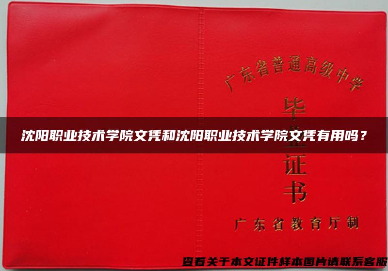沈陽職業技術學院文憑和沈陽職業技術學院文憑有用嗎？