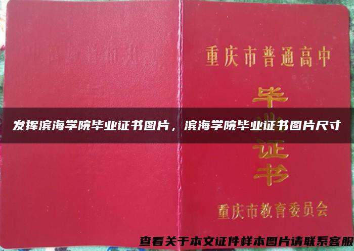 發揮濱海學院畢業證書圖片，濱海學院畢業證書圖片尺寸