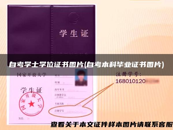 自考學士學位證書圖片(自考本科畢業證書圖片)