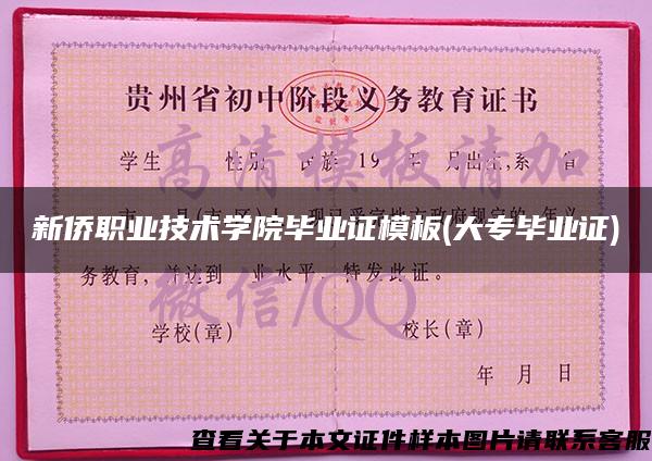 新僑職業技術學院畢業證模板(大專畢業證)