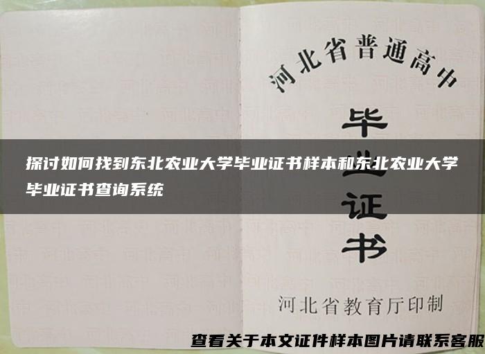 探討如何找到東北農業大學畢業證書樣本和東北農業大學畢業證書查詢系統