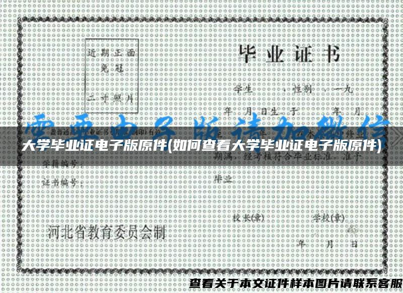 大學畢業證電子版原件(如何查看大學畢業證電子版原件)
