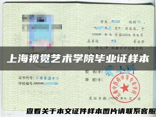 上海視覺藝術學院畢業證樣本