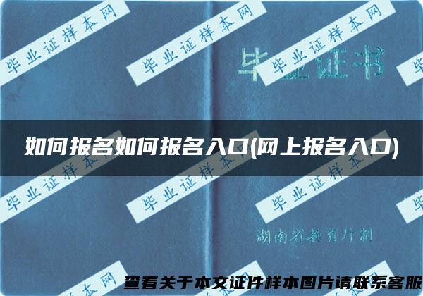 如何報名如何報名入口(網上報名入口)