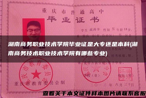 湖南商務職業技術學院畢業證是大專還是本科(湖南商務技術職業技術學院有哪些專業)