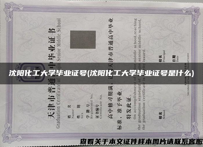 沈陽化工大學畢業證號(沈陽化工大學畢業證號是什么)