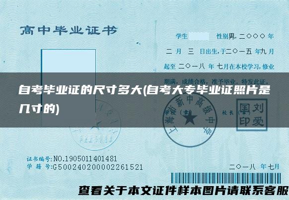 自考畢業證的尺寸多大(自考大專畢業證照片是幾寸的)