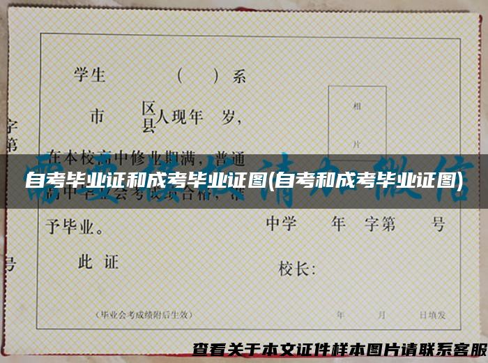 自考畢業證和成考畢業證圖(自考和成考畢業證圖)
