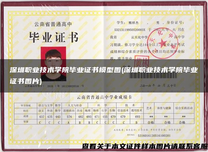 深圳職業技術學院畢業證書模型圖(深圳職業技術學院畢業證書圖片)