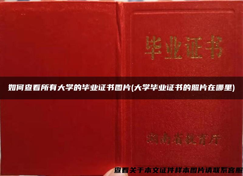 如何查看所有大學的畢業證書圖片(大學畢業證書的照片在哪里)