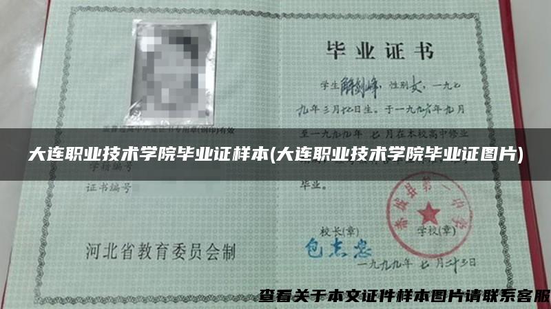 大連職業技術學院畢業證樣本(大連職業技術學院畢業證圖片)