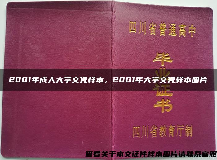 2001年成人大學文憑樣本，2001年大學文憑樣本圖片