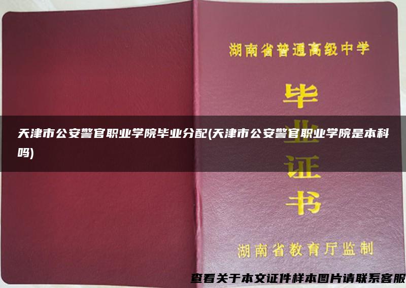 天津市公安警官職業學院畢業分配(天津市公安警官職業學院是本科嗎)