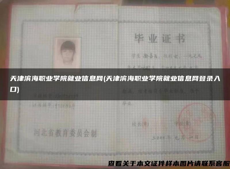 天津濱海職業學院就業信息網(天津濱海職業學院就業信息網登錄入口)