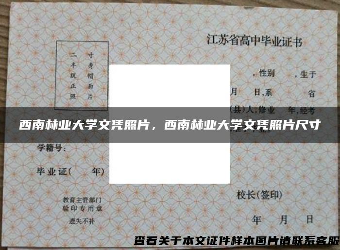 西南林業大學文憑照片，西南林業大學文憑照片尺寸