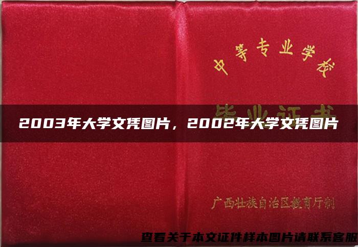 2003年大學文憑圖片，2002年大學文憑圖片
