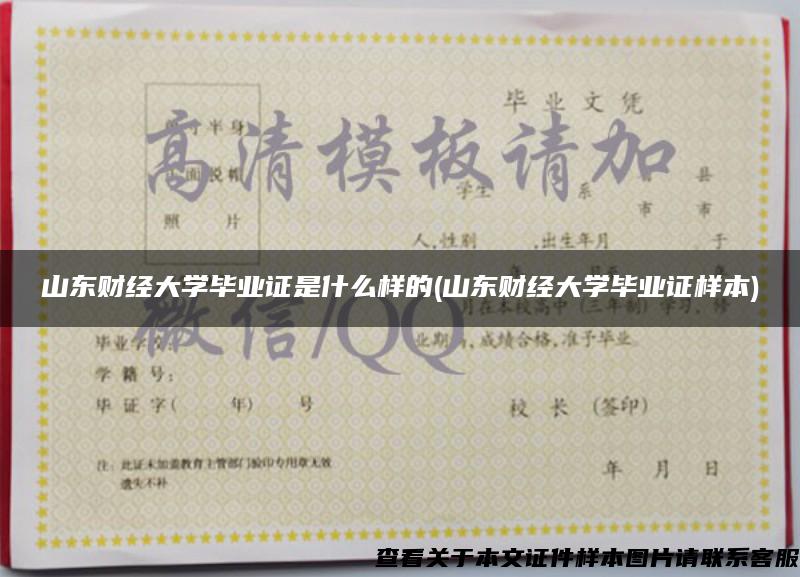 山東財經大學畢業證是什么樣的(山東財經大學畢業證樣本)