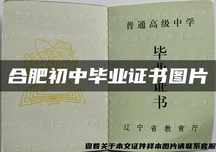 合肥初中畢業證書圖片