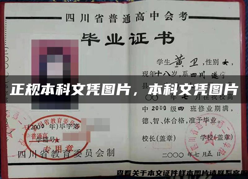 正規本科文憑圖片，本科文憑圖片