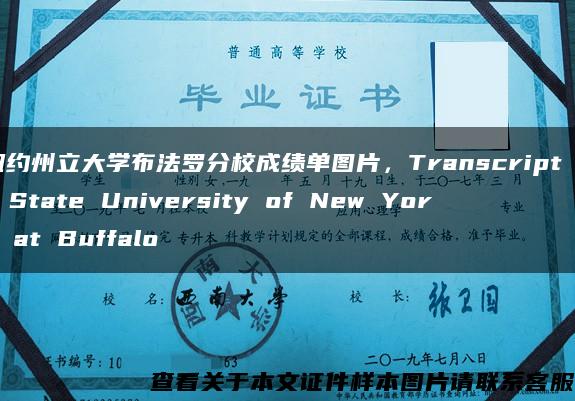 紐約州立大學布法羅分校成績單圖片，Transcript of State University of New York at Buffalo