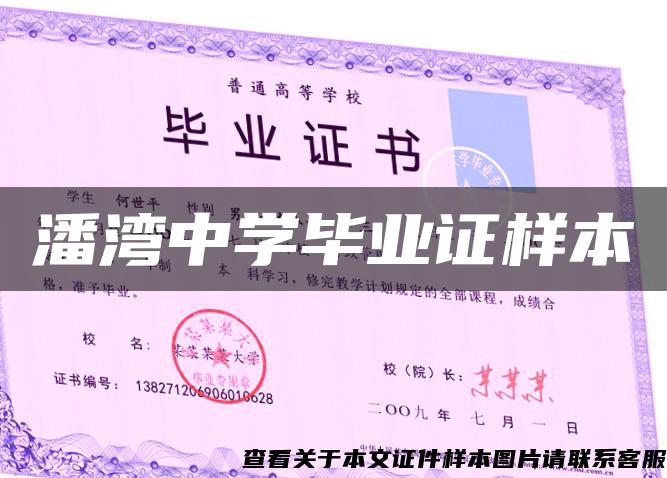 潘灣中學畢業證樣本