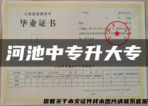 河池中專升大專