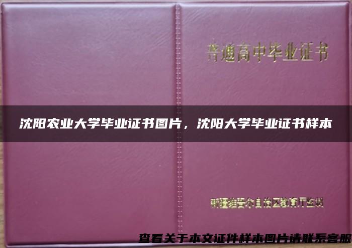 沈陽農業大學畢業證書圖片，沈陽大學畢業證書樣本