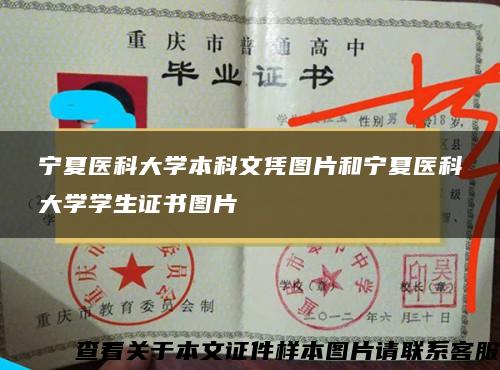 寧夏醫科大學本科文憑圖片和寧夏醫科大學學生證書圖片