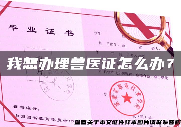 我想辦理獸醫證怎么辦？