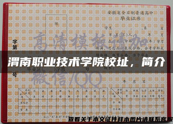 渭南職業技術學院校址，簡介