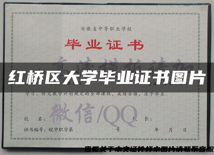 紅橋區大學畢業證書圖片