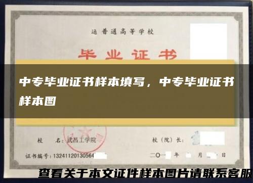 中專畢業證書樣本填寫，中專畢業證書樣本圖