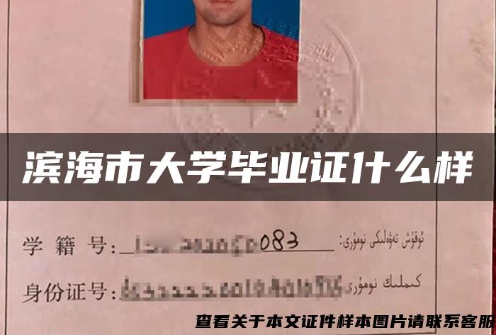濱海市大學畢業證什么樣