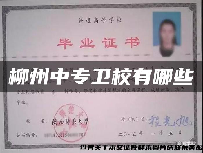 柳州中專衛校有哪些