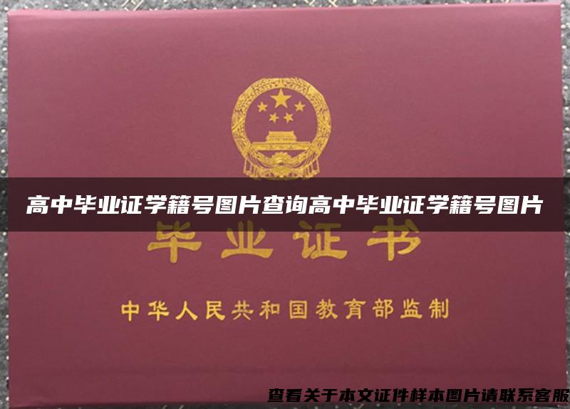 高中畢業證學籍號圖片查詢高中畢業證學籍號圖片