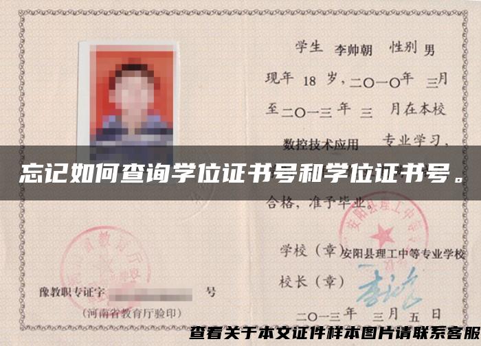 忘記如何查詢學位證書號和學位證書號。