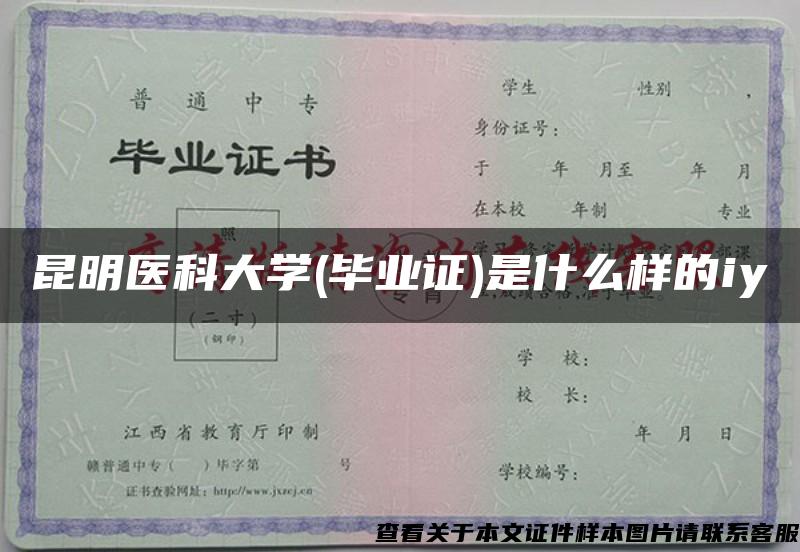 昆明醫科大學(畢業證)是什么樣的iy