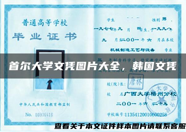 首爾大學文憑圖片大全，韓國文憑
