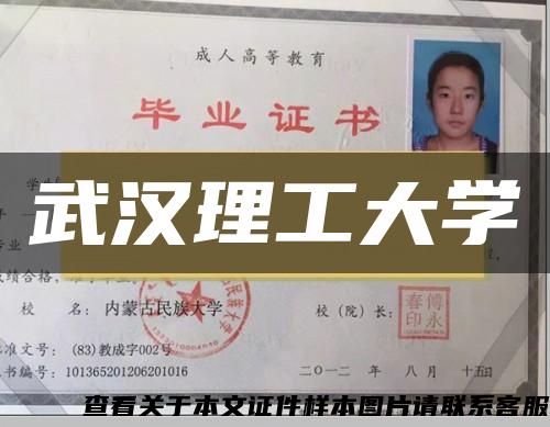 武漢理工大學