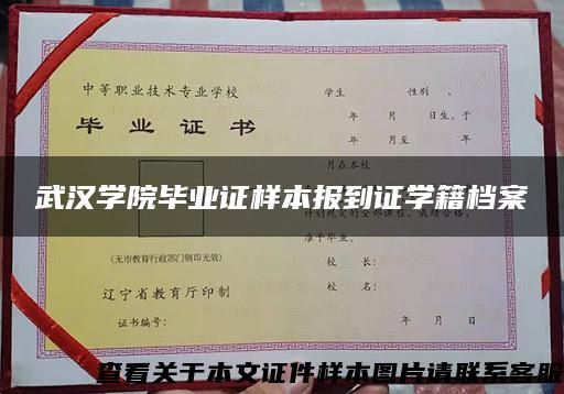 武漢學院畢業證樣本報到證學籍檔案